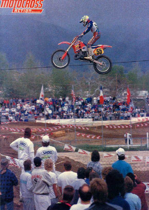 PSA in mc-action.jpg (79219 Byte)